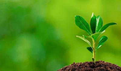 oportunidade-para-regularizar-licenciamento-ambiental