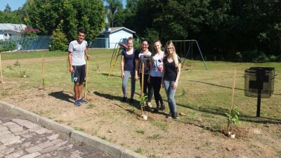 morro-tico-tico-recebeu-rvores-no-ltimo-s-bado