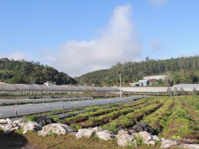 b-nus-do-tal-o-de-produtor-come-a-a-ser-entregue-hoje