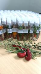 plantas-medicinais-ser-o-estrelas-neste-s-bado