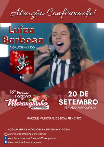 luiza_festa.jpg