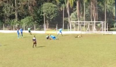 escolinha-bom-princ-pio-faz-no-novo-hamburgo