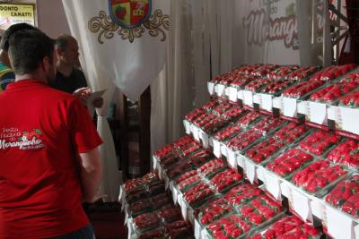 aten-o-expositores-de-morango