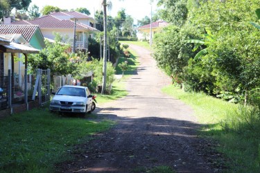 avenidas-dos-ficus-tera-calcamento