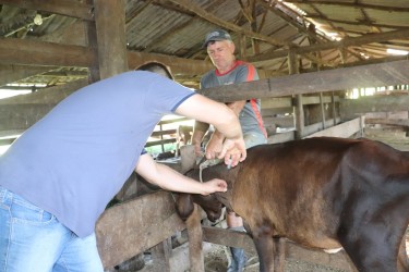 atencao-produtores-rurais-para-a-vacinacao