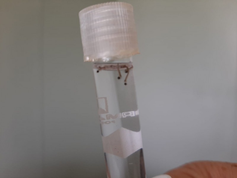 WhatsApp Image 2021-04-30 at 11.24.21.jpeg