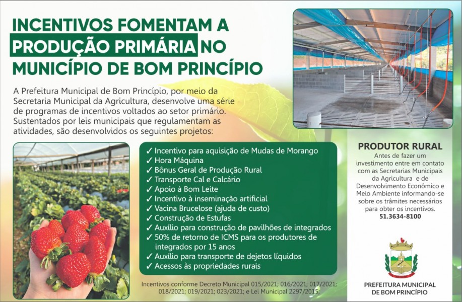 WhatsApp Image 2021-07-21 at 10.56.15.jpeg