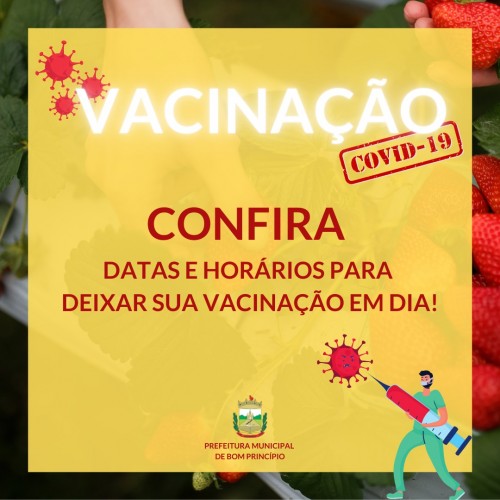 como-esta-seu-esquema-vacinal