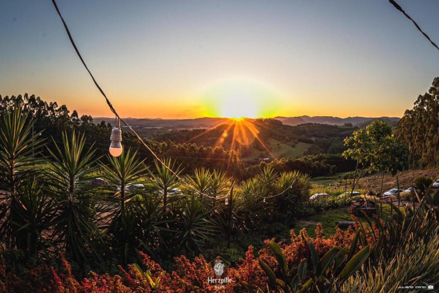 WhatsApp Image 2022-03-29 at 09.31.30.jpeg