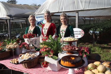 aberta-oficialmente-a-safra-do-moranguinho-2022