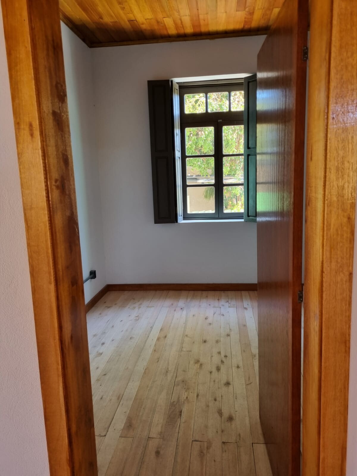 WhatsApp Image 2022-12-23 at 10.13.57.jpeg