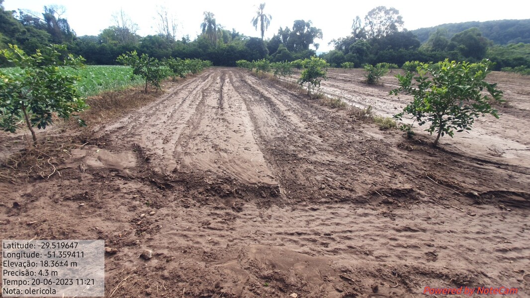 WhatsApp Image 2023-06-21 at 10.12.42.jpeg