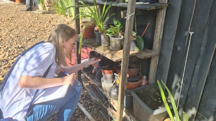 semana-inicia-com-vistoria-de-focos-do-mosquito-da-dengue