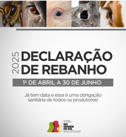produtores-tem-ate-30-de-junho-para-declarar-rebanho-e-evitar-restricoes