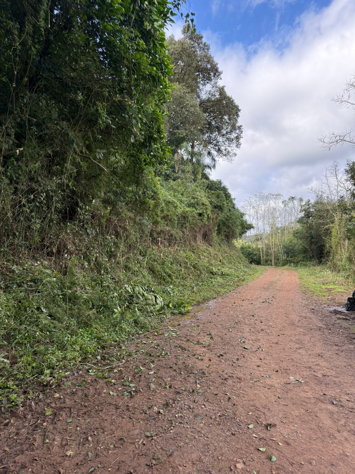 WhatsApp Image 2025-06-13 at 11.48.35.jpeg