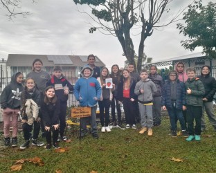 educacao-e-sustentabilidade-escola-e-secretaria-trocam-saberes-sobre-cultivo-de-morangos