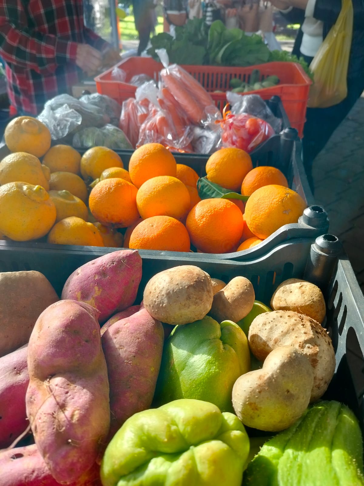 WhatsApp Image 2025-07-05 at 09.29.17 (1).jpeg