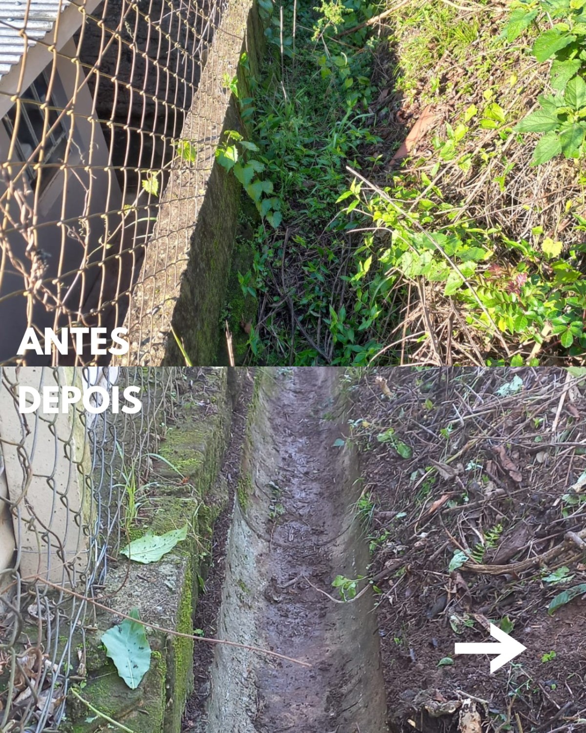 WhatsApp Image 2025-07-07 at 16.34.08 (3).jpeg