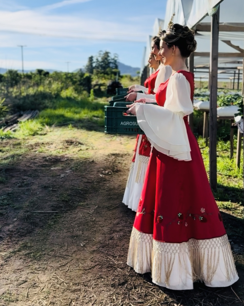 abertura-da-safra-de-morangos-celebra-os-produtores-e-a-essencia-do-municipio