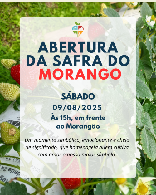 abertura-da-safra-de-morango-evento-celebra-produtores-e-da-inicio-a-temporada-da-fruta-simbolo