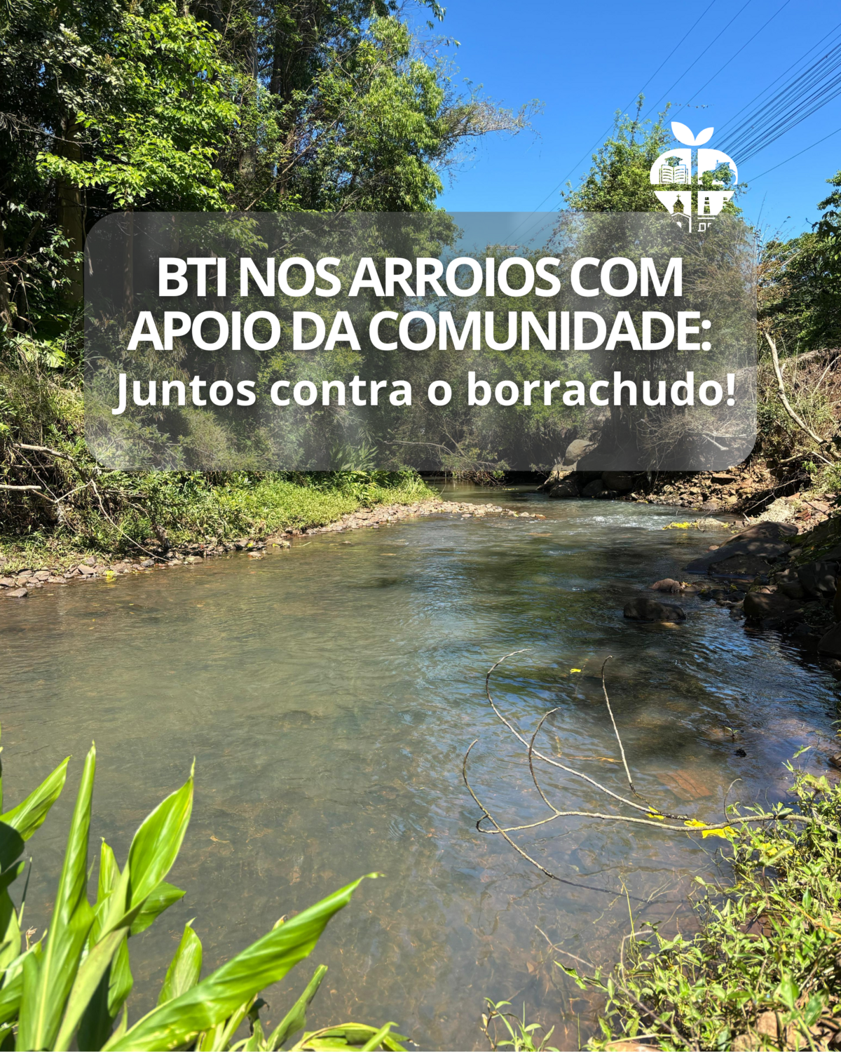 controle-do-borrachudo-prefeitura-inicia-aplicacao-de-larvicida-biologico-mas-comunidade-deve-colaborar