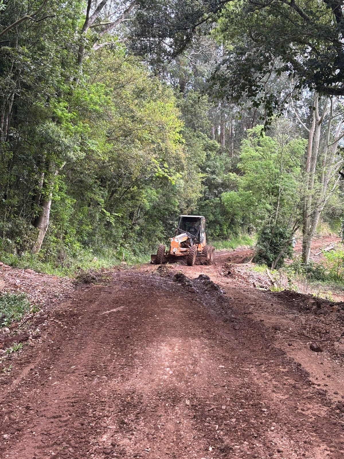 WhatsApp Image 2025-10-10 at 10.48.28.jpeg