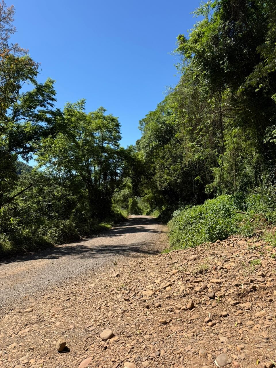 WhatsApp Image 2025-10-22 at 17.08.57 (2).jpeg