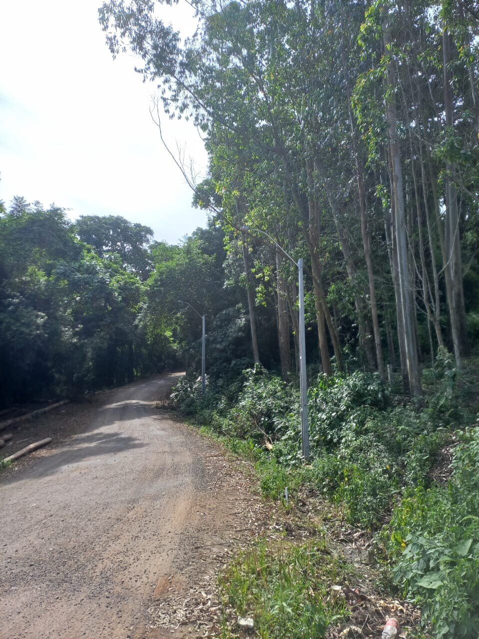 WhatsApp Image 2025-11-17 at 09.32.11.jpeg