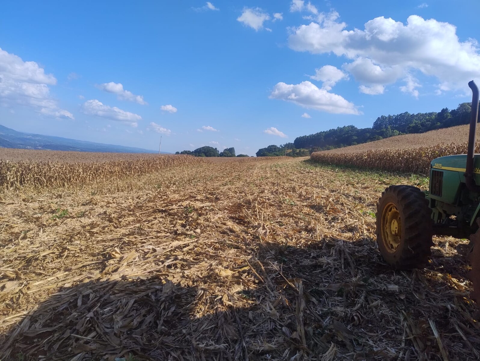 WhatsApp Image 2026-03-10 at 15.50.05 (2).jpeg