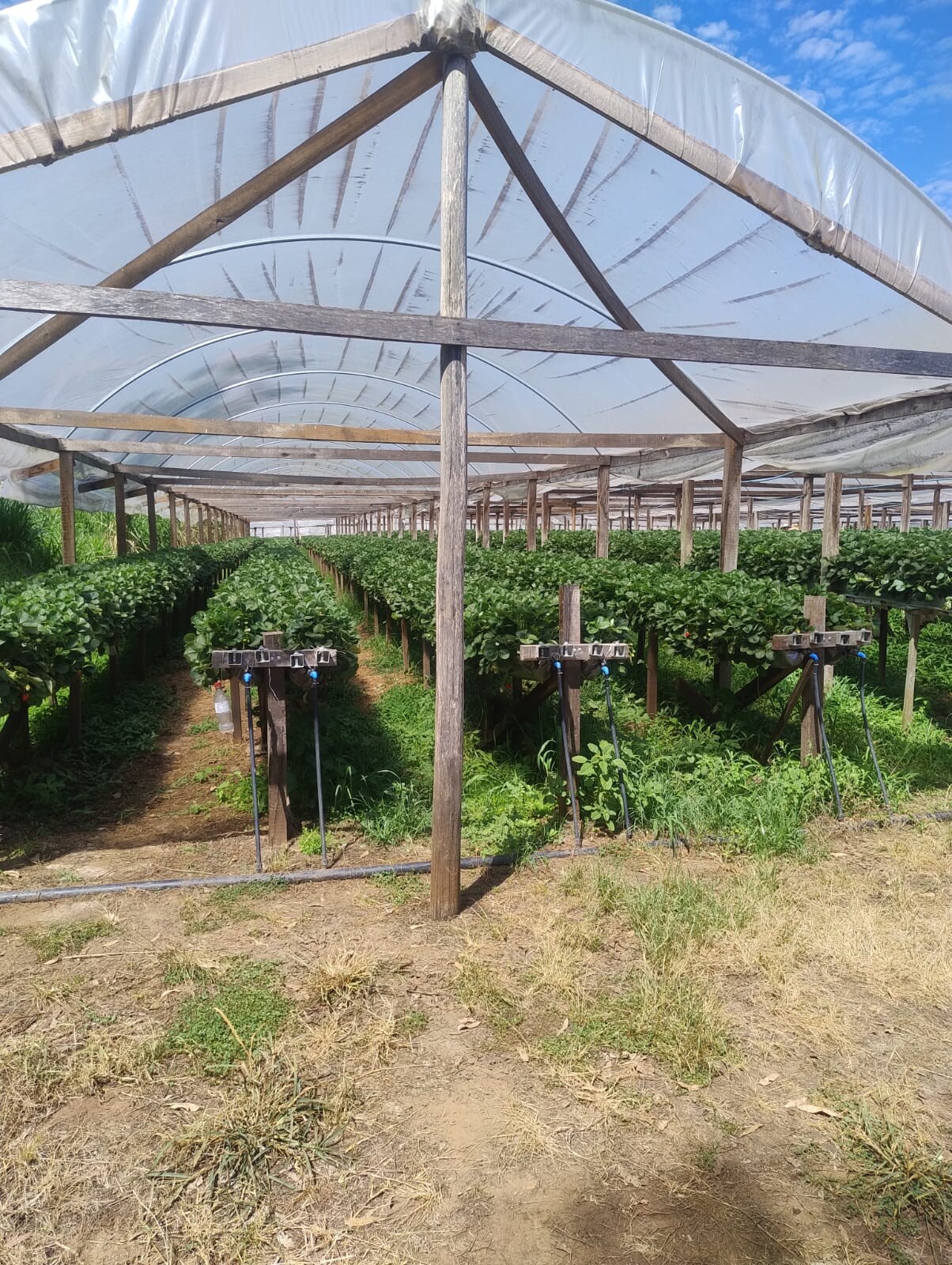 WhatsApp Image 2026-03-10 at 15.50.07 (2).jpeg