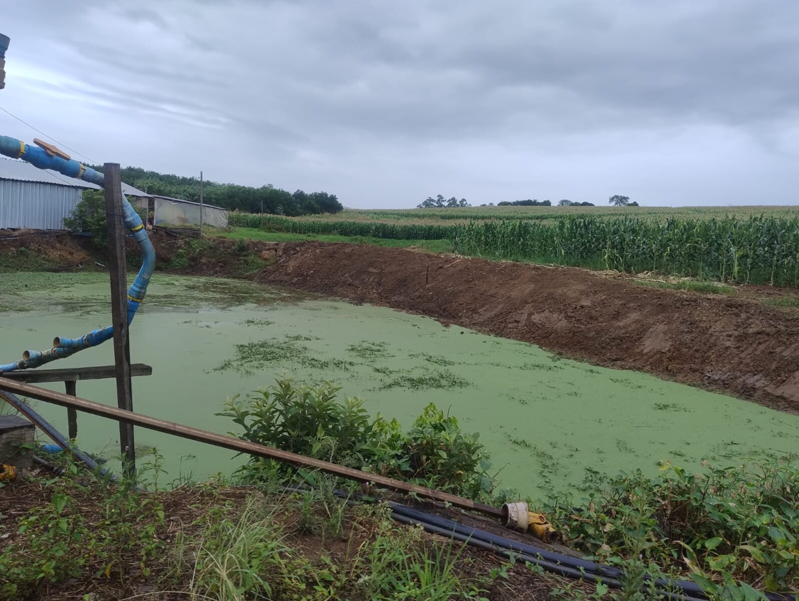 WhatsApp Image 2026-03-10 at 15.50.07.jpeg