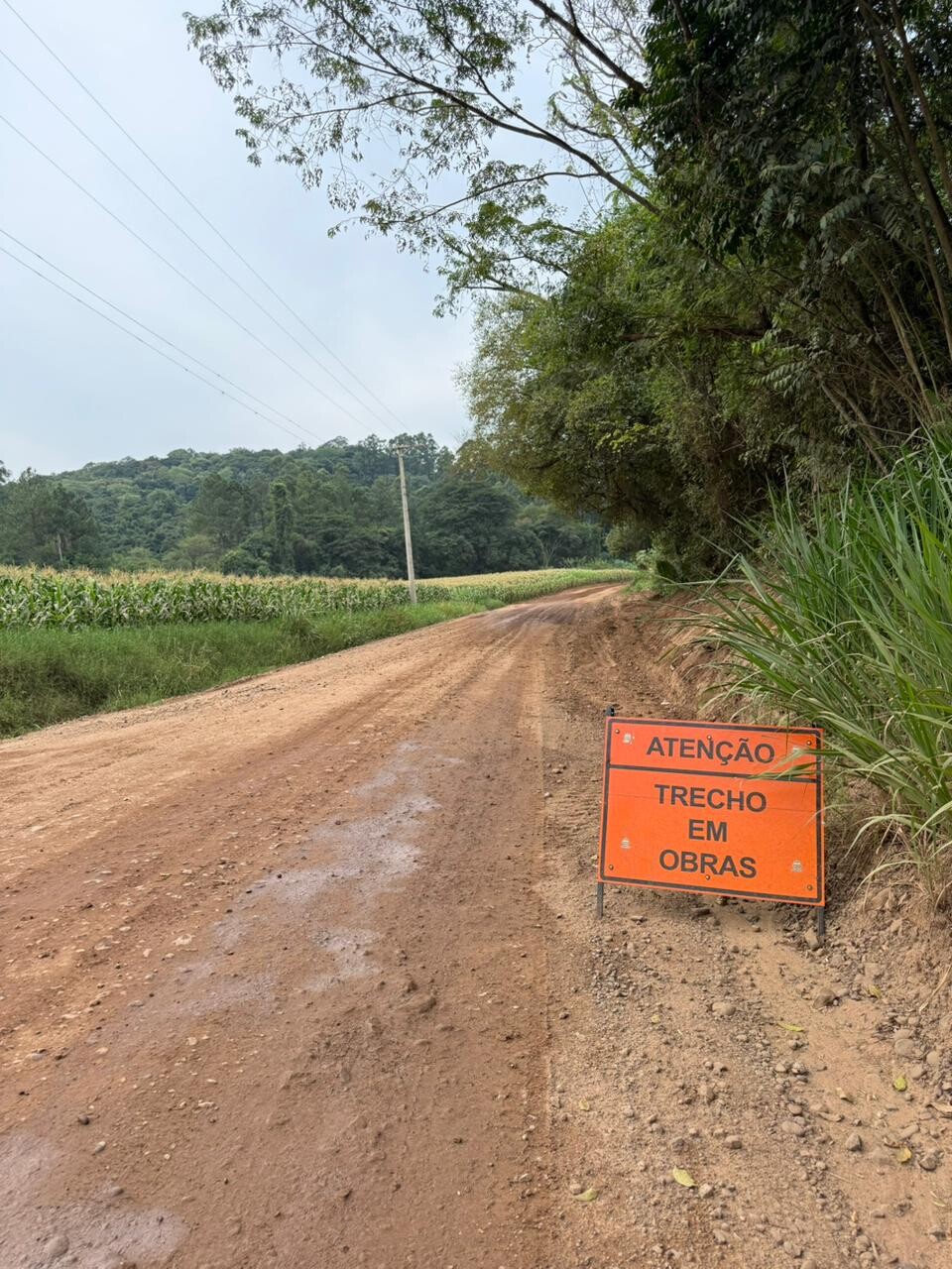 WhatsApp Image 2026-03-31 at 14.55.02.jpeg