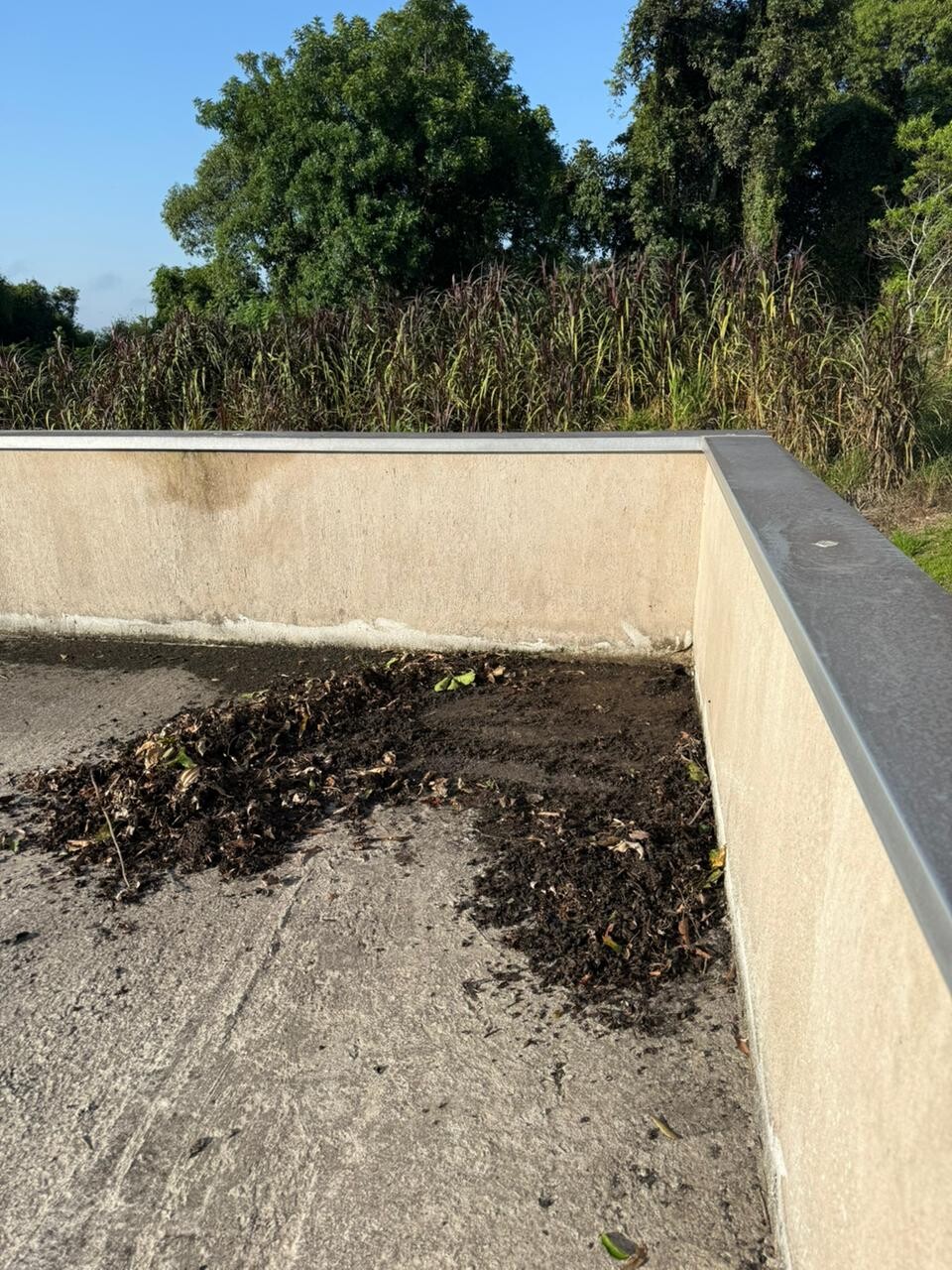 WhatsApp Image 2026-03-31 at 17.01.33 (1).jpeg