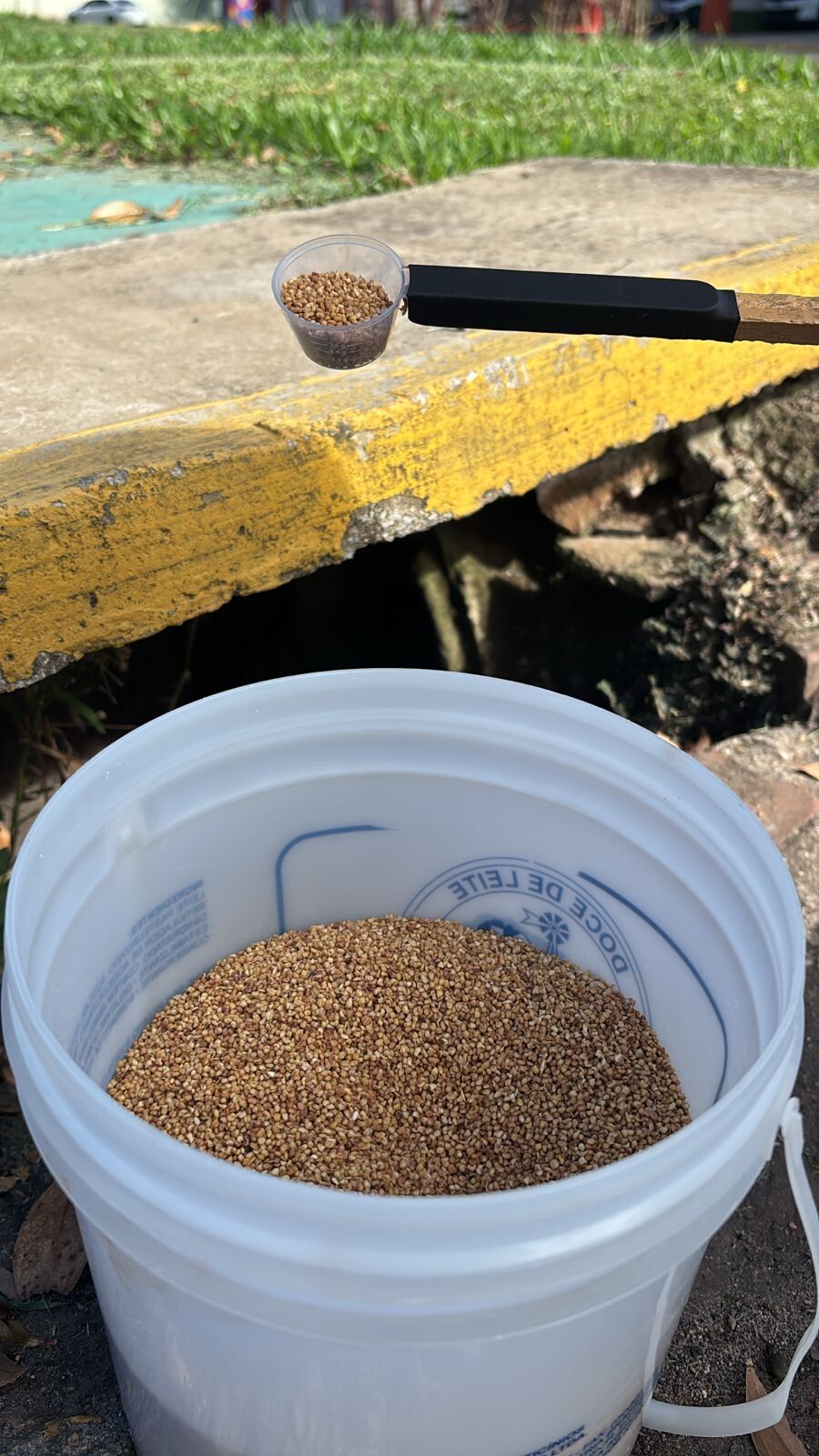 WhatsApp Image 2026-04-01 at 09.40.48 (1).jpeg