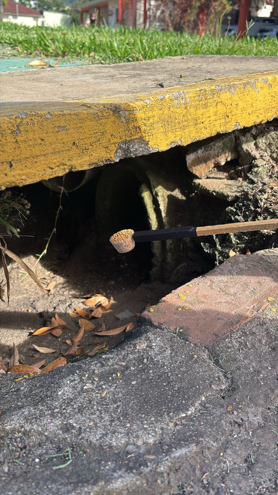 WhatsApp Image 2026-04-01 at 09.40.48.jpeg