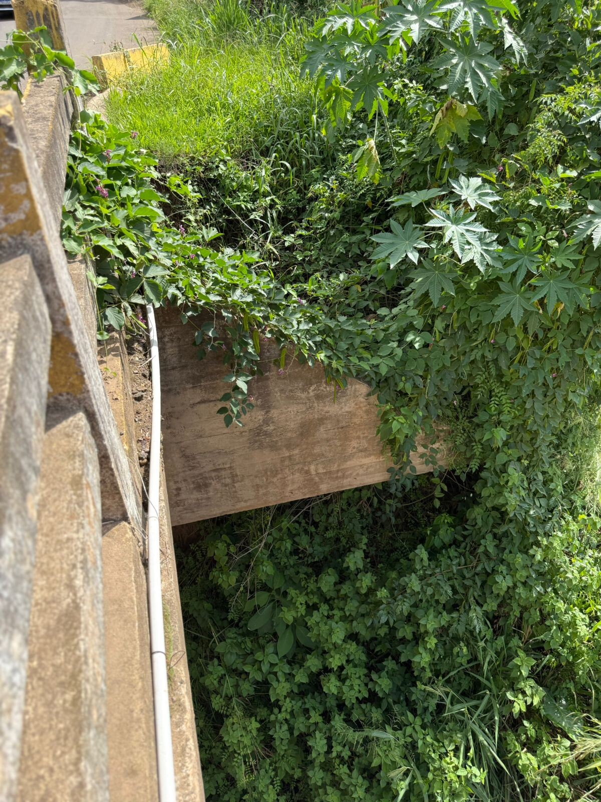 WhatsApp Image 2026-04-08 at 16.16.33 (1).jpeg