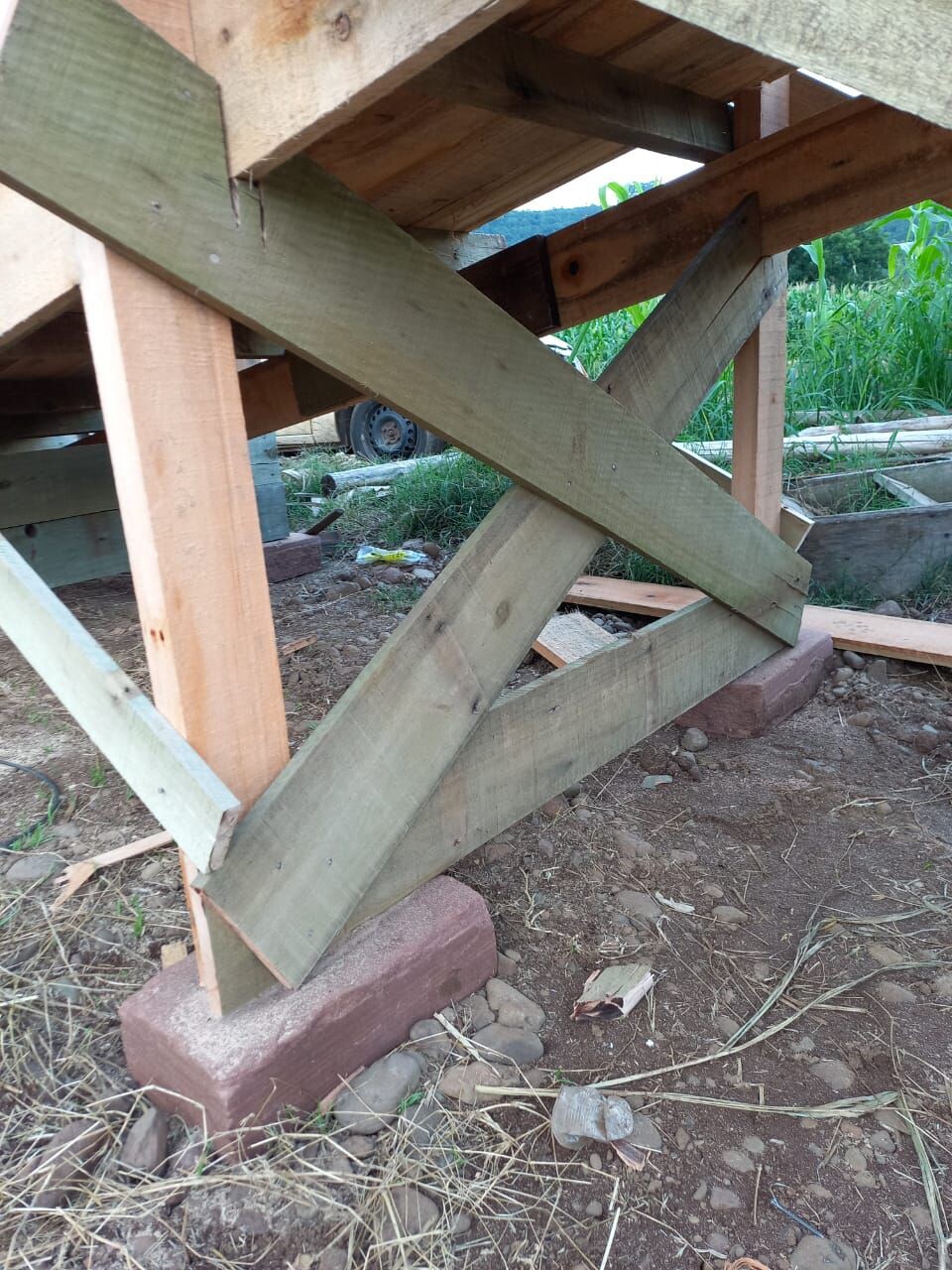 WhatsApp Image 2026-04-10 at 11.17.27.jpeg