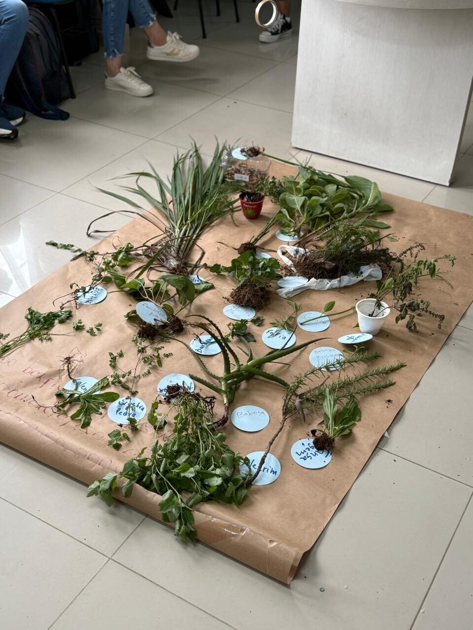 WhatsApp Image 2026-04-15 at 16.39.50.jpeg