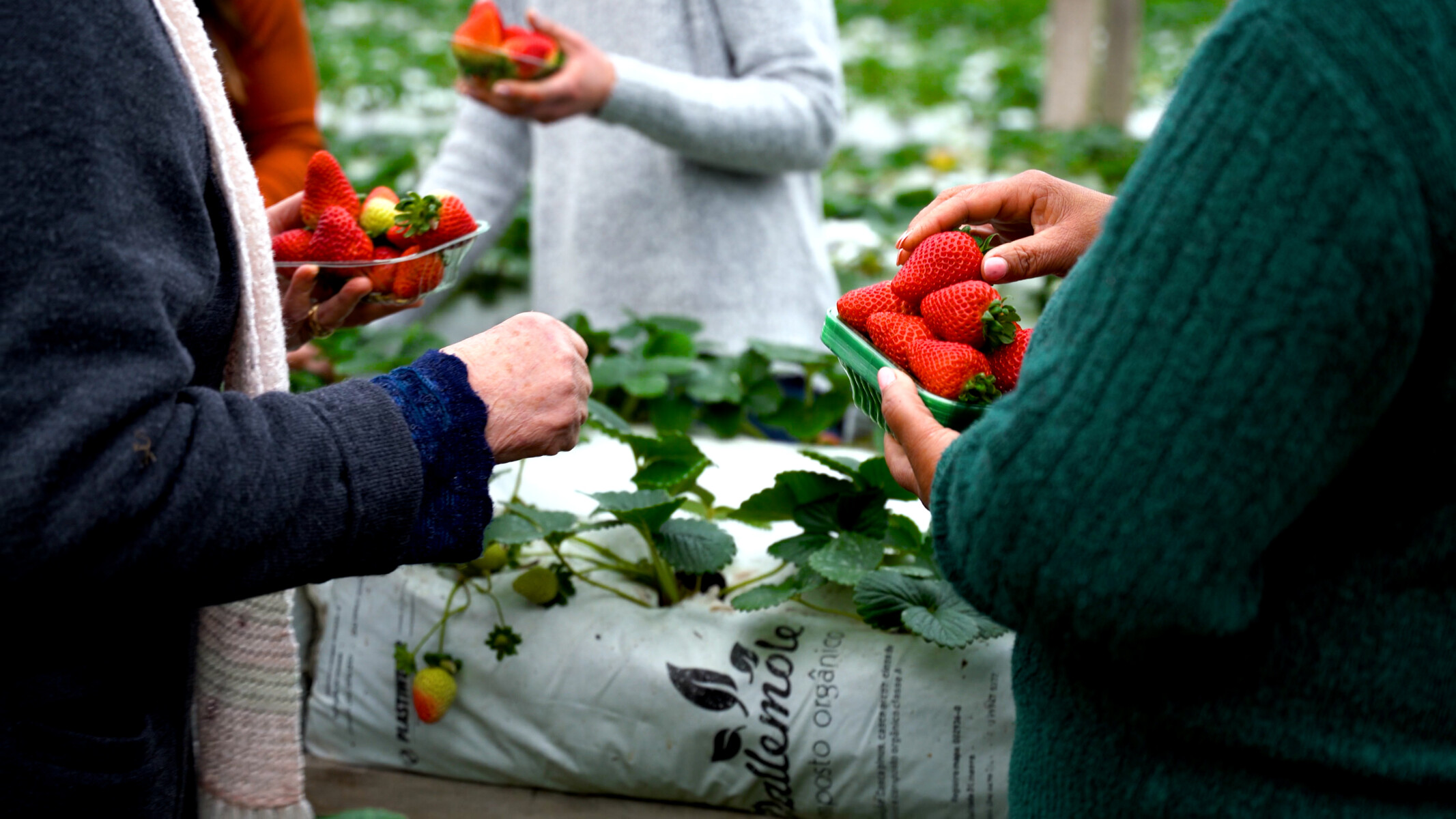 Sequência 1.00_01_02_01.Quadro002 (1).jpg